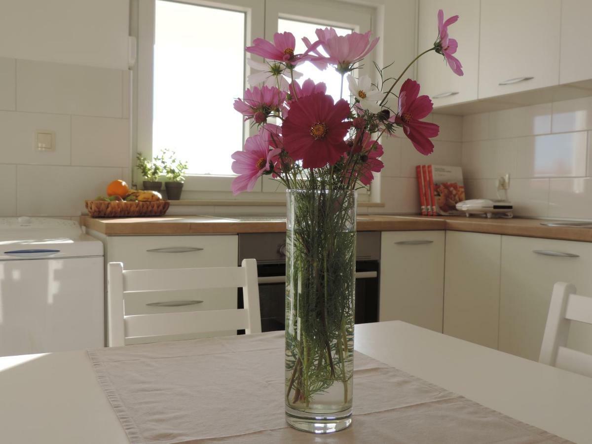 Apartment S Pogledom Zdrelac